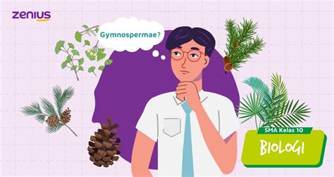 Gymnospermae Pengertian Ciri Klasifikasi Dan Contohnya