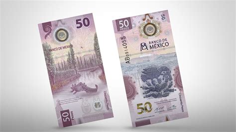 El Emblem Tico Ajolote De Xochimilco Es La Imagen Del Nuevo Billete De