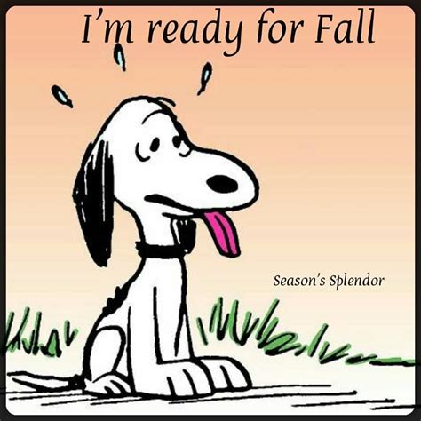 Im Ready For Fall Charlie Brown And Snoopy Snoopy American Comics
