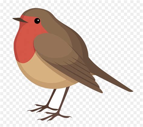 Clipart Robin Bird 10 Free Cliparts Download Images On Clipground 2021