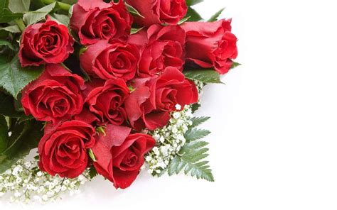 Download Beautiful Rose Hd Flower Bouquet Wallpaper