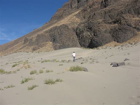 Conquering Sand Dunes Near Mattawa Wa 3 Steve Roberts Flickr