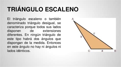 Que Es Un Triangulo Escaleno - SEONegativo.com