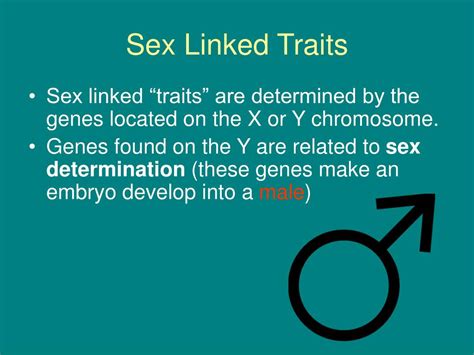 Ppt Sex Linked Traits Powerpoint Presentation Free Download Id6114675