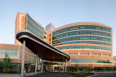 Department Of Radiology College Of Medicine University Of Florida