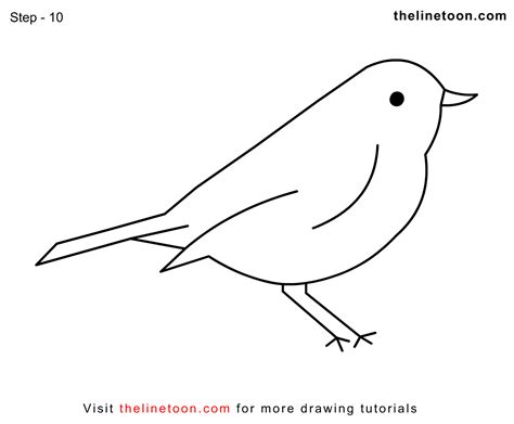 Thelinetoon How To Draw Bird Easy Simple For Kids Step By Step