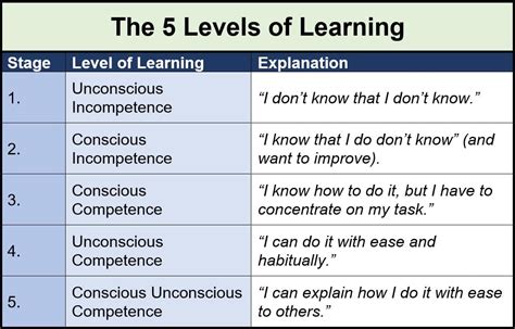 5 Stages Of Learning Levels Of Learning Ladder 2022 2023