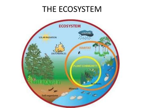Environment And Ecology