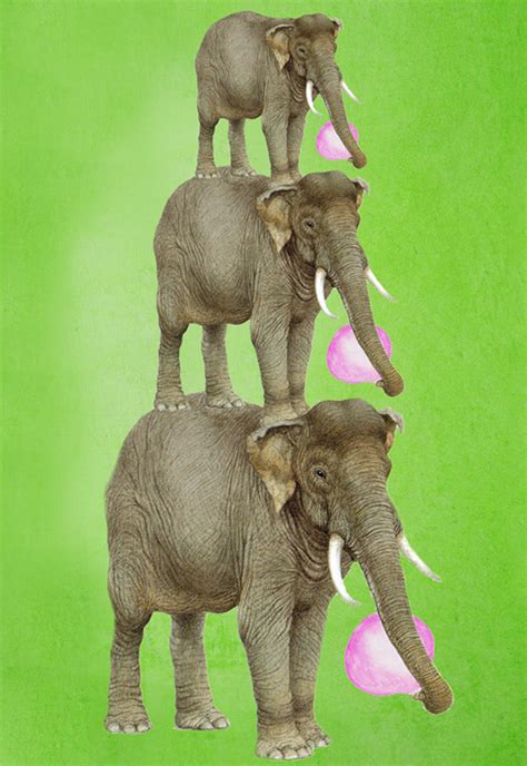 3 Elephants