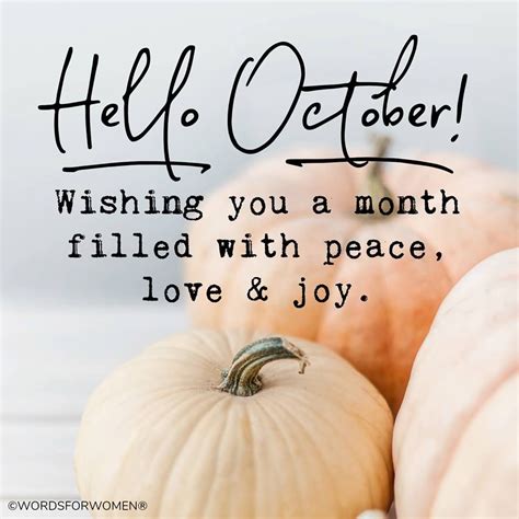 Hello October Images Hello September October Fall Brow Styling What
