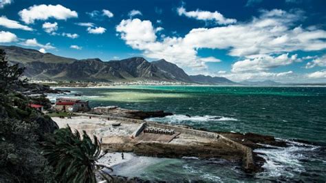 Top 7 Things To Do In Hermanus Whalecoast