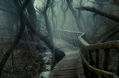 A Trail To Mordor Terrifying Hidden Forest Path By Gabor Dvornik