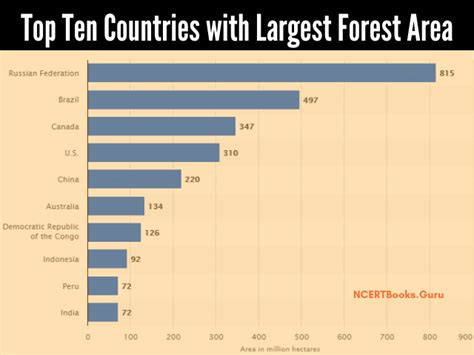 Top 10 Countries With The Largest Forest Area Map Wor