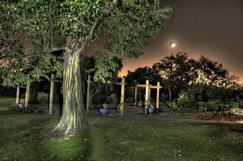 Garden Night Photography The Arboretum