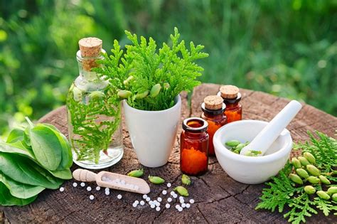 Iranians Use Of Herbal Medicine Increases By 15 Percent Tehran Times