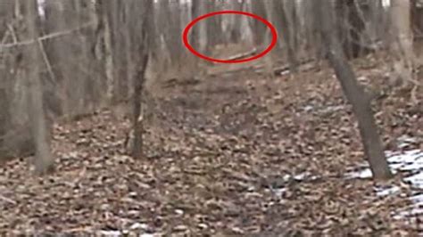 Bigfoot Sighting The Maine Ridge Monster Youtube