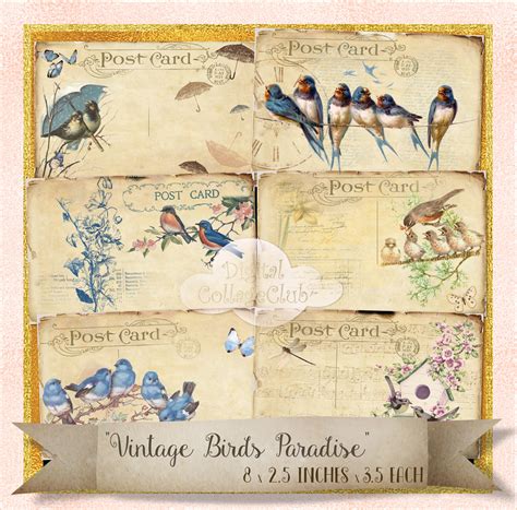 Vintage Birds Paradise Postcards The Digital Collage Club