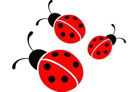 Ladybug Transparent Png Clip Art Image Art Images Clip Art Ladybug Images