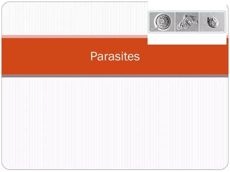 Ppt Parasites Powerpoint Presentation Free Download Id 2390575