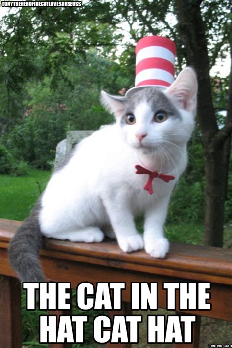 tonytheherofirecatlovesdrseuss the cat in the hat cat hat