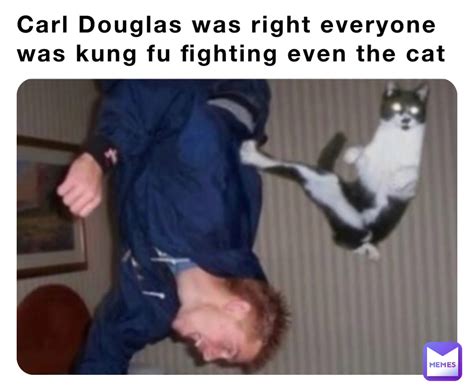 Carl Douglas Was Right Everyone Was Kung Fu Fighting Even The Cat