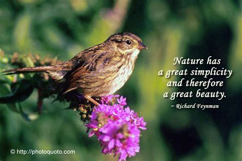 Quotes On Wonders Of Nature Quotesgram