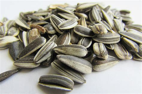 Unique Sunflower Seed Flavors Are A Hit In America Cooking 4 All