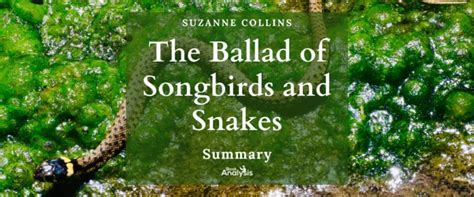 The Ballad Of Songbirds And Snakes Plot Summary