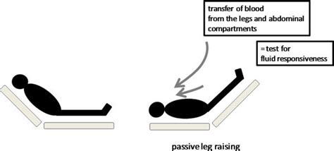 Passive Leg Raising The Passive Leg Raising Test Consists In Measuring