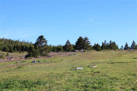 The finest vacation rentals, cottages, cabins and homes on tranquil. Cottage Property for Sale in Guysborough County, NS ...