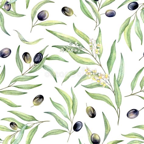 Watercolor Seamless Pattern Of Black Olives Hand Painted Illustration