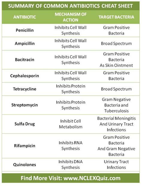 Common Antibiotics Cheat Sheet Infographic Pharmacology Nursing