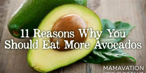 Eat More Avocados 11 Reasons Why You Should Mamavation Avocado