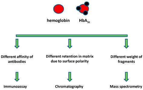 Glycosylated Hemoglobin Can Best Be Described As Douglas Has Cardenas