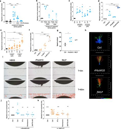 Sand Fly Salivary Yellow Proteins Are The Neutrophil Chemoattractants Download Scientific