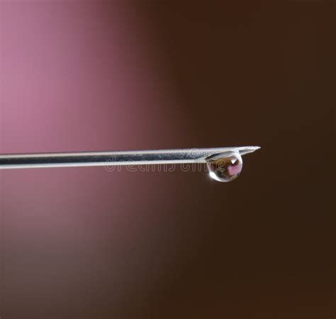 Needle And Drop Water Stock Photo Image Of Isolated 18225374
