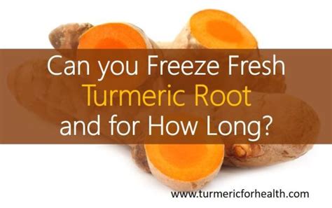 Swapping fresh turmeric root for dried in recipes is possible. Can you Freeze Fresh Turmeric Root and for How Long ...
