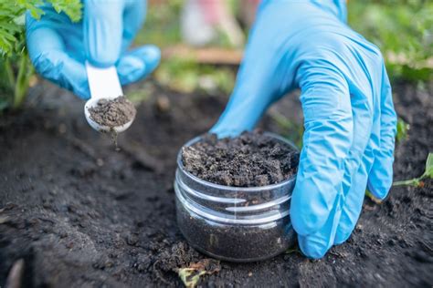 Soil Testing What All Diy Landscapers Should Know Bob Vila
