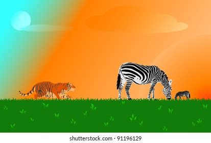 Africa Tiger Zebra Stock Vector Royalty Free 91196129 Shutterstock