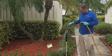 After just your first experience with us at lawn and pest control supply, we think you will quickly realize how much of an asset we can be. Lawn Pest Control Services | Pink and Green | Broward County