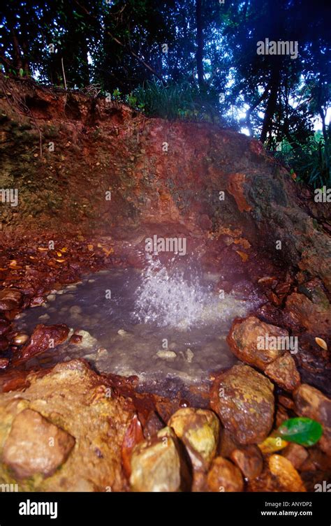 hot steam bursting out fumaroles throughout the valley of desolation morne trois pitons