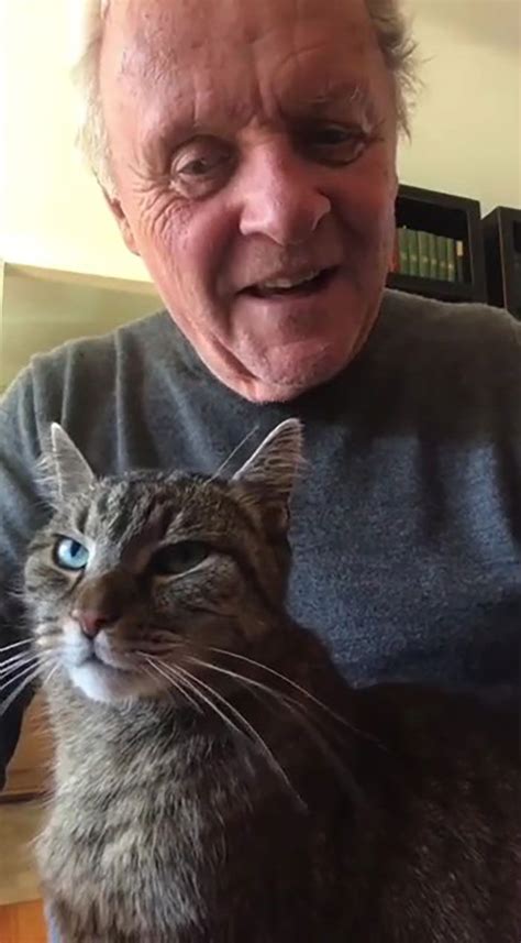 Anthony Hopkins Plays The Piano For His Cat Niblo In Self Isolation