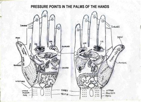 Pressure Points Jesse James Body Wellness And Massage