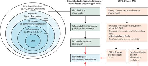 Moving The Pathway Goalposts Copd As An Immune Mediated Inflammatory Disease The Lancet