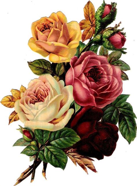 Bouquet Of Poppies Victorian Scrap Image Color Graphics Victorian
