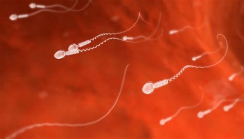 Scientists Find Human Skin Cells Can Be Transformed Into Artificial Sperm