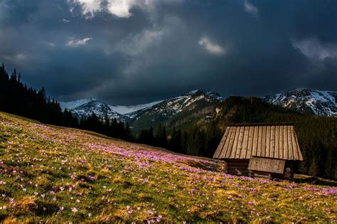 Free Picture Nature Wood Landscape Mountain Meadow Hill