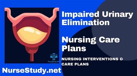 Impaired Urinary Elimination Nursing Diagnosis And Nursing Care Plan