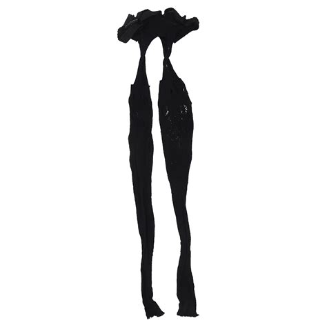 Eas Women S Sheer Sexy Lace Top Thigh Highs Stockings Black Stockings Black Black Stockingssexy