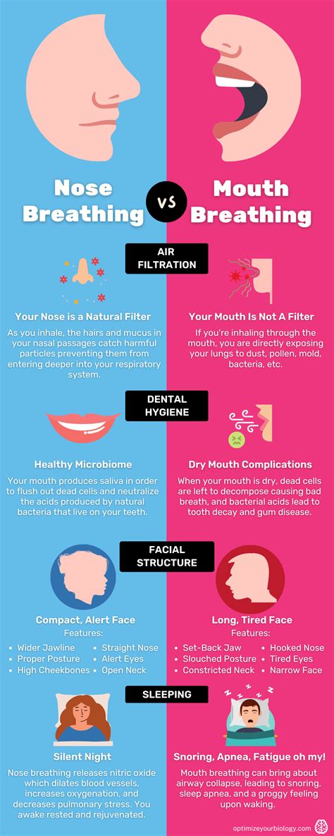 Nose Vs Mouth Breathing Infographic Optimize Your Biology Oral
